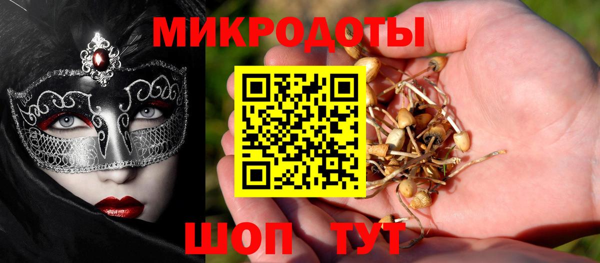 Галлюциногенные грибы прущие грибы Кисловодск